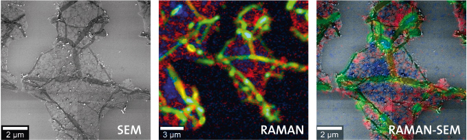 Simultaneous Raman and SEM image of graphite using a RISE Microscope