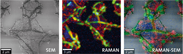 Correlative Raman and Scanning Electron Microscope image obtained using the TESCAN RISE microscope