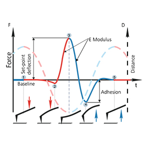 NT-MDT TITANIUM AFM hybrid mode