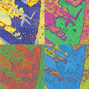 NT-MDT TITANIUM AFM mapping