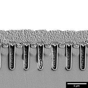 Cross-section_of_microelectronic_device