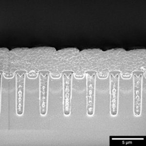 Cross-section_of_microelectronic_device