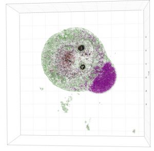 Liver cell nanotoxicology study dead