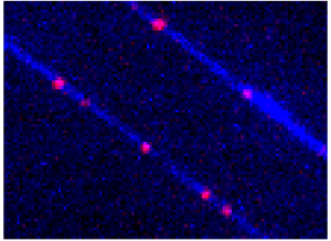 Oxford Nanoimaging epigentic mapping