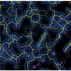 protein structure