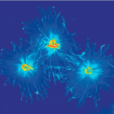 TESCAN Q-Phase  multimodal holographic microscope 