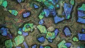 Hirox RH-2000 3D Digital Microscope image of ink pigments