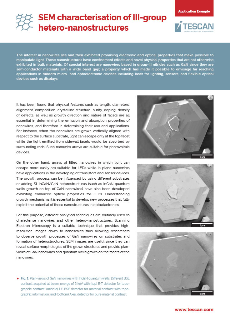 SEM Characterisation of Group III Hetero Nanostructures