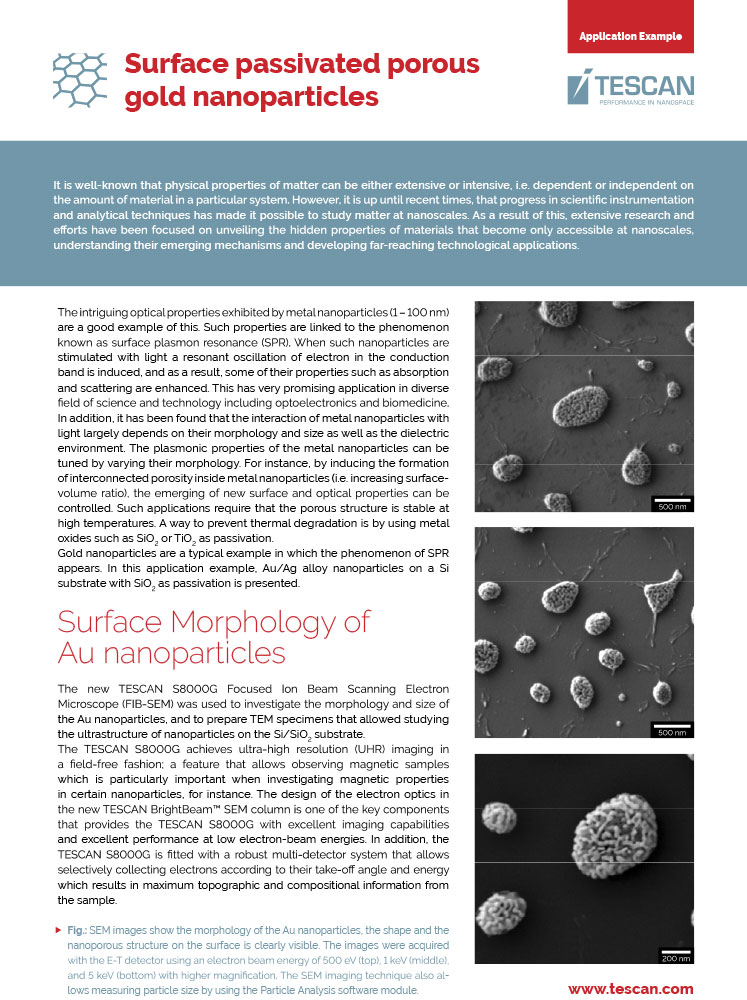 Surface Passivated Porous Gold Nanoparticles