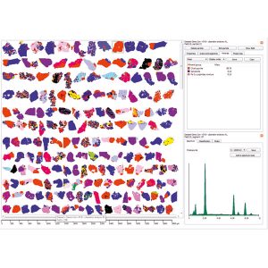 TESCAN TIMA X automated mineralogy solution