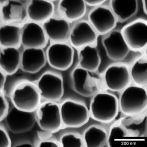 TiO2_nanotubes_500ev_BD_sbar200nm_Axial_detector