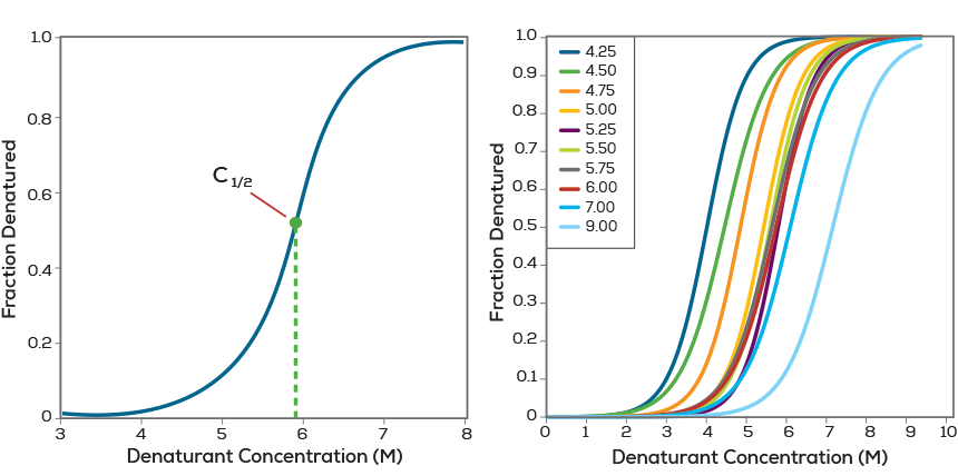 protein stability denaturation curves