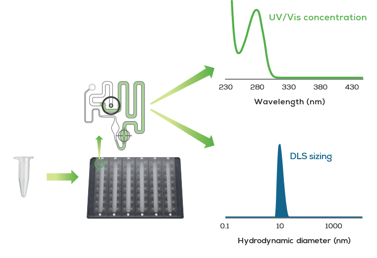 Unchained Labs Stunner protein characterisation workflow