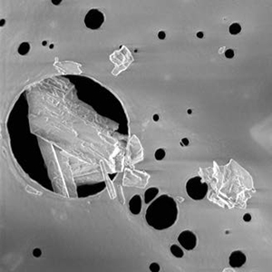 Materials science example from TESCAN XEIA Ultra-High resolution SEM with Xe Plasma FIB