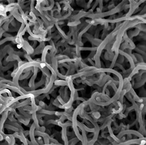 Materials science example from TESCAN XEIA Ultra-High resolution SEM with Xe Plasma FIB