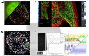 Oxford nanoimager - data presentation and analysis