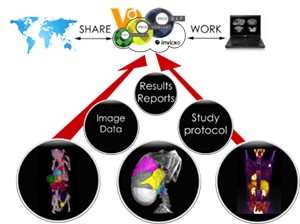 invicro VivoQuant Medical imaging visualisation and analysis software