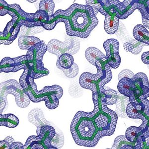 protein structure