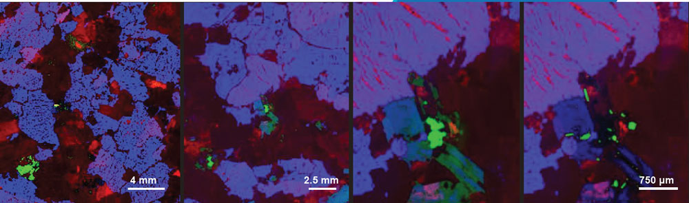 Sigray microXRF map produced using the AttoMap